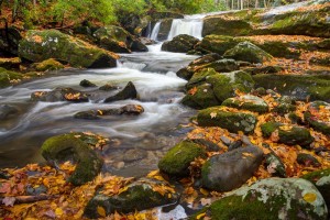 A beautiful photo of the Lynn Camp Prong Cascades on a fall day.