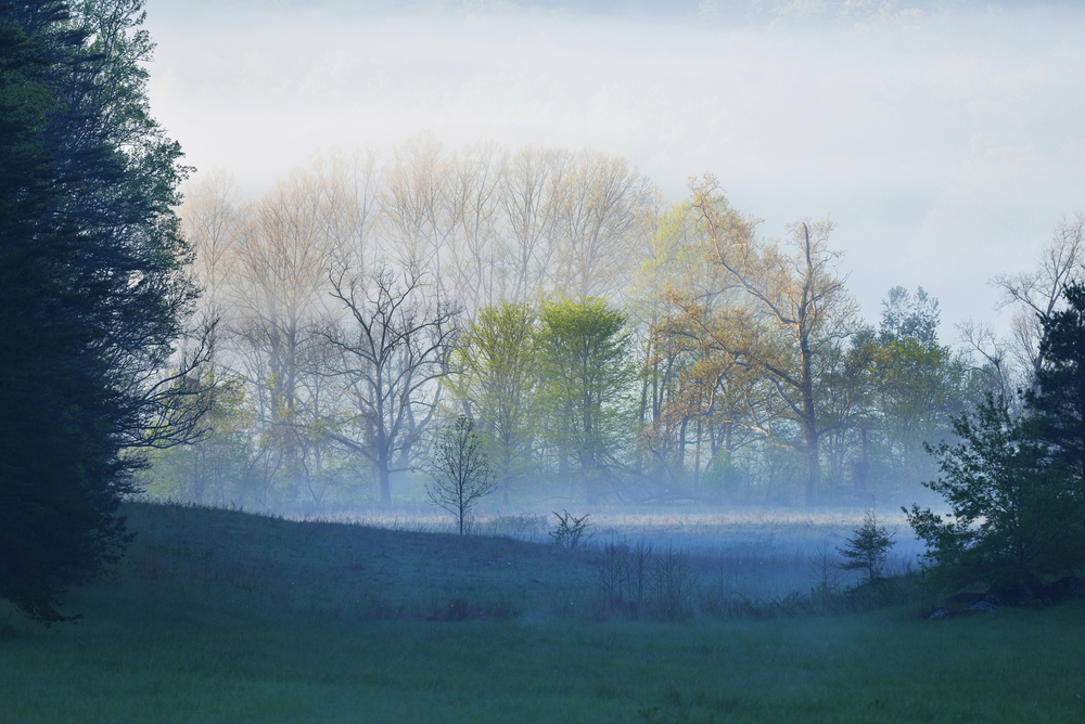 Beautiful Cades Cove photo of early morning mist.