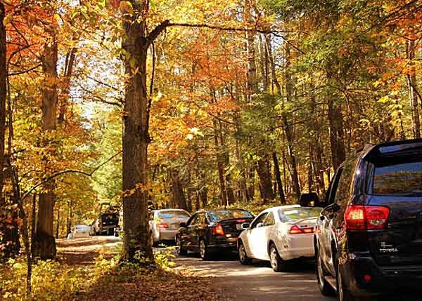 traffic in Cades Cove