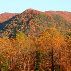 9 Cades Cove Photos That Will Make You Want to Visit Right Away