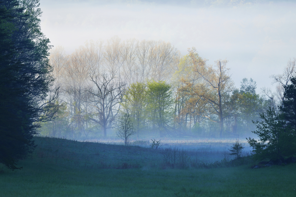Early morning mist in Cades Cove