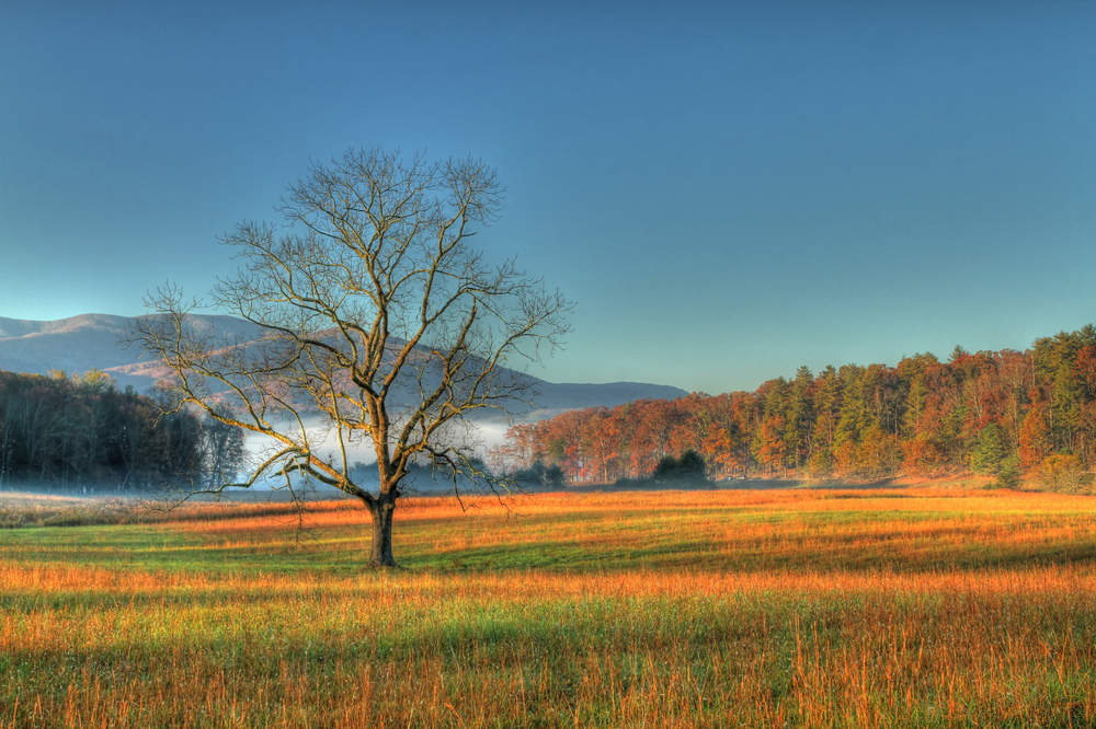 Cades Cove weather fall cades cove