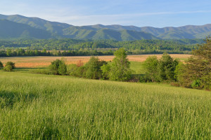 Cades Cove weather in the summer