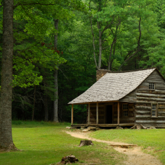 Carter Shields Cabin