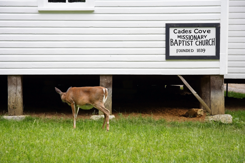 Missionary Baptist Church in Cades Cove