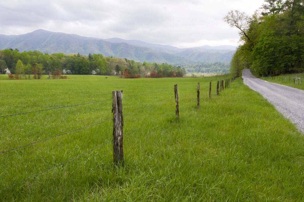 Cades Cove Loop Road Auto Tour