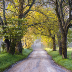 Is the Cades Cove Weather Seasonal?