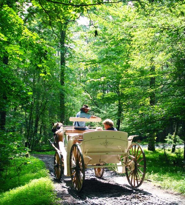 Horseback Riding in Cades Cove cades cove