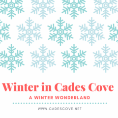 Ways to Enjoy Cades Cove in the Winter