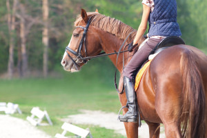 girl riding a horse at the Cades Cove Riding Stables