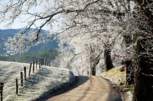 winter in Cades Cove