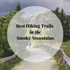 6 Cades Cove Hiking Trails You Just Have to See