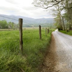 Reasons to Drive the Cades Cove Scenic Loop