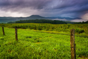 open field near the Cades Cove Visitor Center