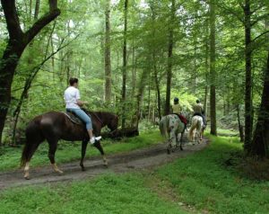 horseback riding in Cades Cove